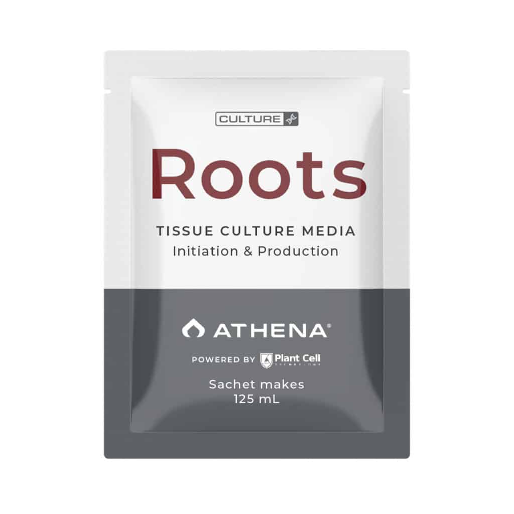【roots 10点まとめ商品】 TC-CM-RT-125-3-1024x1024.jpg